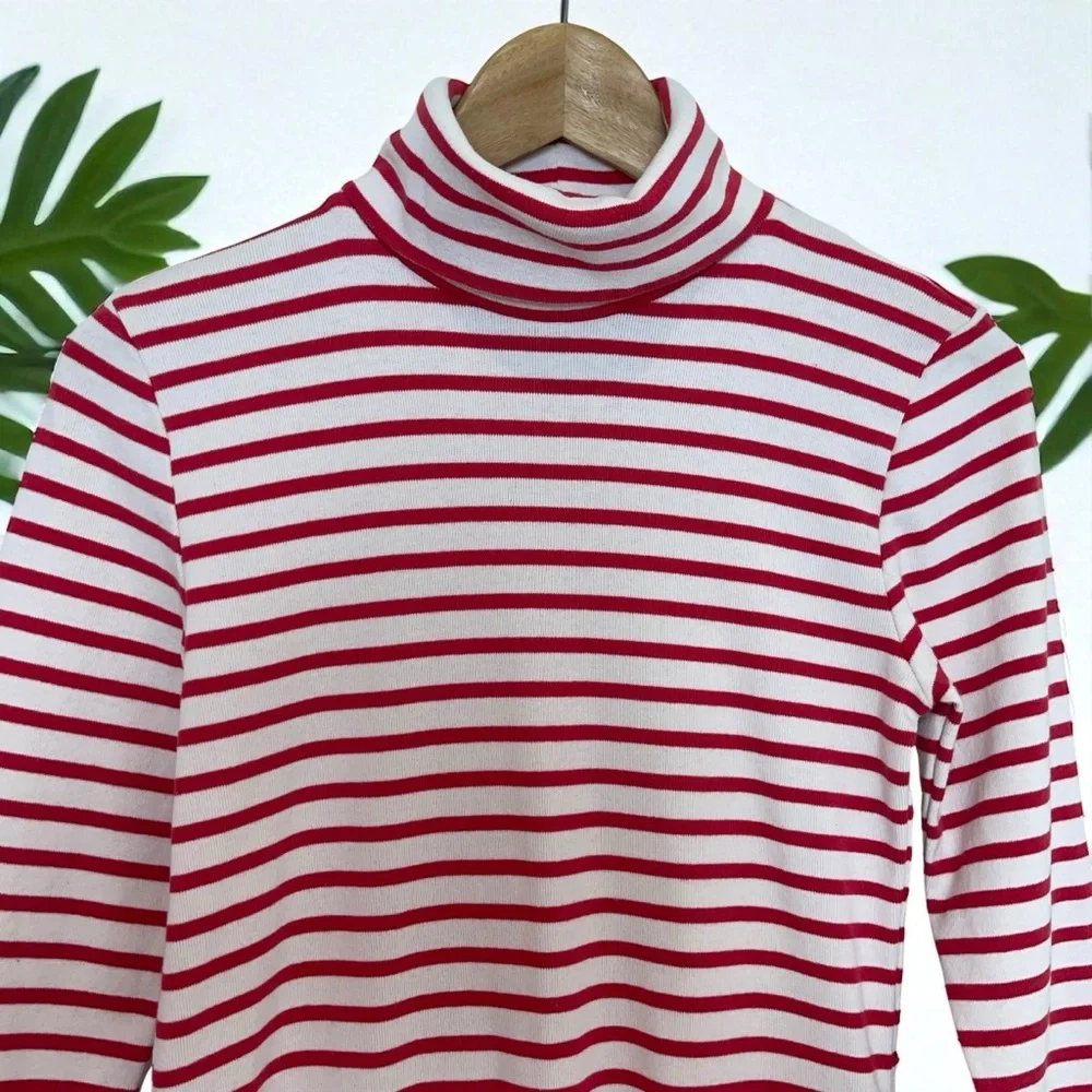 J. Crew Striped Turtleneck Dress